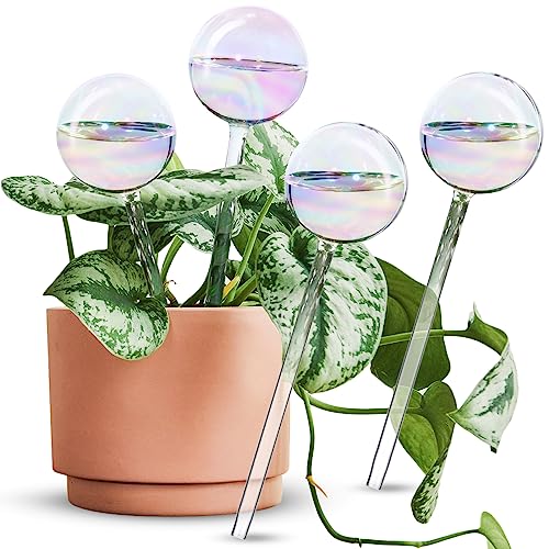 Tomorotec 4Pcs Rainbow Glass Plant Watering Globes, Self Watering Spikes - color: Iridescent 4-Pack