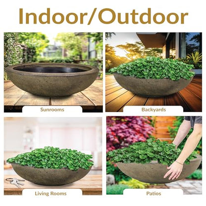 Sunnydaze Percival 20.75" Shallow Outdoor Planter Bowl, Sable, 2pk - color: Sable