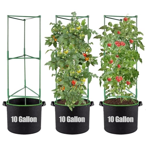 ANPHSIN Sturdy Triangle Tomato Cage with Movable 10 Gal Grow Bags, 3 Sets - style: 10 gallons