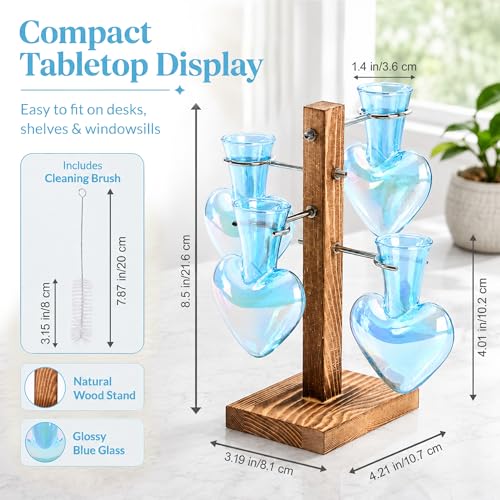 Nacome Plant Terrarium Propagation Stations: Blue Vase with Wooden Stand - color: Blue