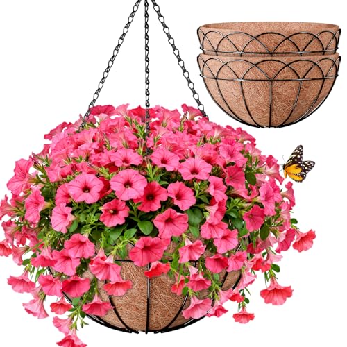 Halatool 2 Pack 14 Inch Hanging Baskets with Coco Liner, Heavy Duty Planter