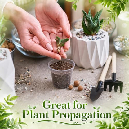 240 Pack 2 Inch Nursery Pots, Mini Plastic Plant Pots for Seedlings(Clear) - color: Clear