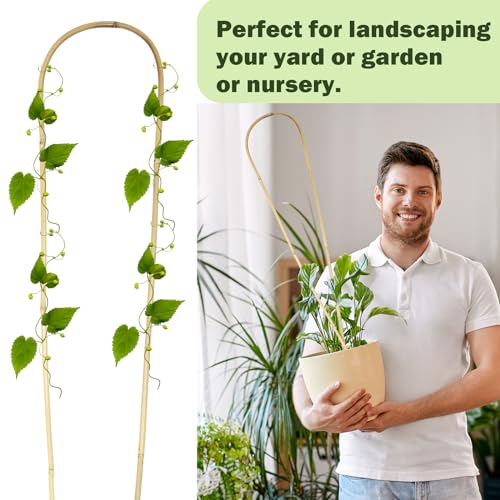 Jollybower Natural U-Hoops Bamboo Plants Trellis 4Ft, Garden Trellis U-Shape for Climbing Plants, Garden Arch Support for Potted Plants, Vines, Ivy Climbing Plants, Flowers-3 Pack - size: U-Shaped 4Ft