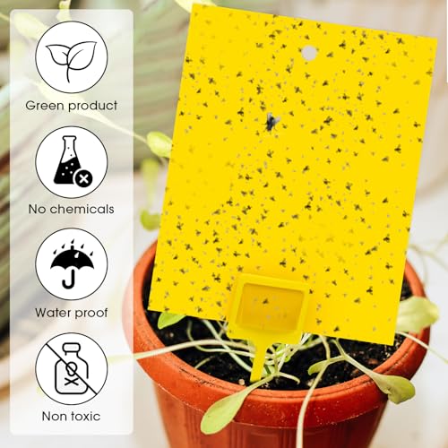 Qualirey 220 Pcs 7.87 x 9.84 Inch Yellow Sticky Traps for Plant Gnats Dual Sided Fruit Fly Sticky Traps for Indoor Outdoor with Twist Ties & Plastic Holders for Insect, Fungus Gnat, Whiteflies, Aphids - size: 7.87 x 9.84 Inches