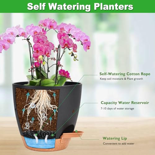 Vanslogreen 6 Inch Orchid Pots with Holes, 2 Pack Self Watering Planters for Orchids Plastic Orchid Pot Plant Flower Pots for Orchids Indoor Outdoor (Black with Brown) - color: Style Round-black With Brown