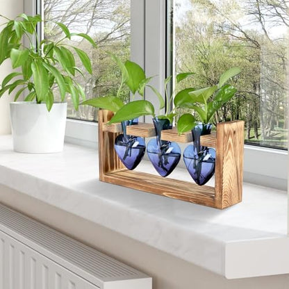 Plant Terrarium Propagation Stations Hydroponics - color: Blue