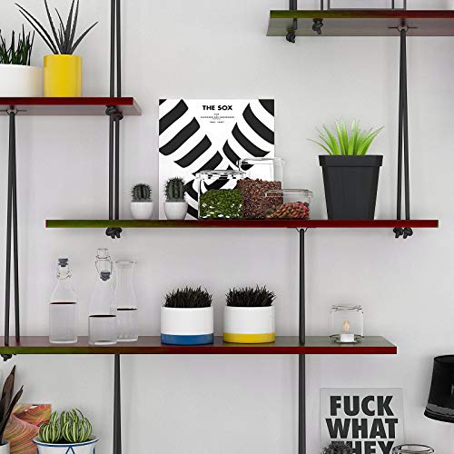 60pcs Plastic Square Nursery Pot (Black) Thick Plastic Square Flower Planting Pots with Drainage Hole for Seed Germination, Seed Starting Pots, Modern Decorative Flower Pot