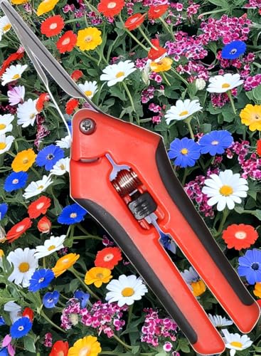 1PC Pruning Shears, Titanium Coated Garden Trimming Scissors with Coil Spring, Precision Gardening Hand Pruning Snips for Bonsai, Flowers, Plants Cutting (red,straight blade) - color: Red