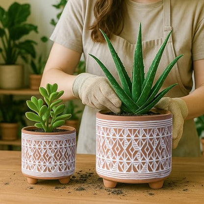 D'vine Dev 2-Pack Terracotta Pots, 4/6 in, Savanna Weave, 31-953-G-1 - style: Savanna Weave