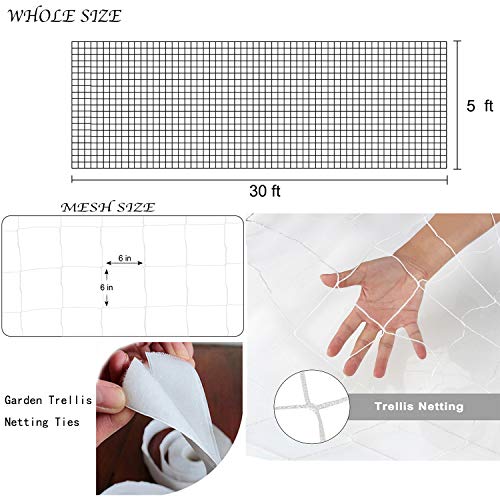 BaseGoal 6in Mesh Trellis Netting, 5x30ft, 1 Pack - size: 6" Mesh (5'X30')