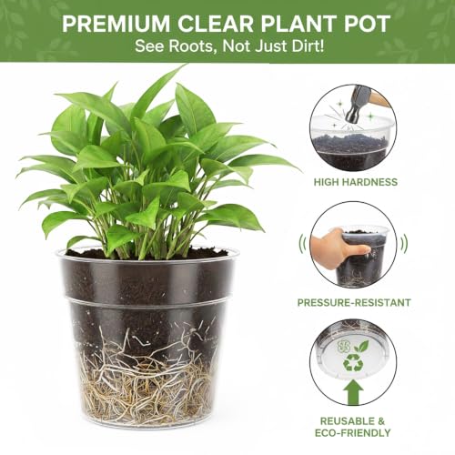 8/10 Inch Large Clear Nursery Pots with Drainage, 6 Pack - size: 10/8inch