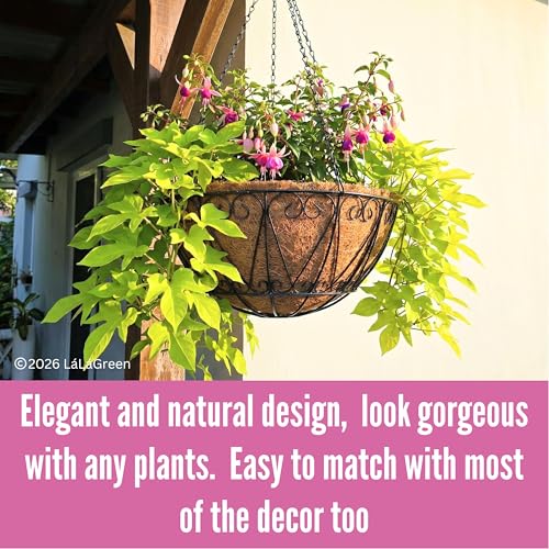 LaLaGreen Coco Hanging Baskets (18 in, 2 Pack) Black Wire Flower Pot Holder - size: 18" x 2 Pack