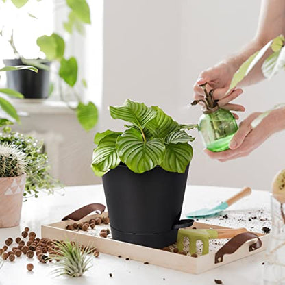 8 Inch Self Watering pots for Indoor, 6 Pack Plastic Plant Pots with Drainage Holes, Black