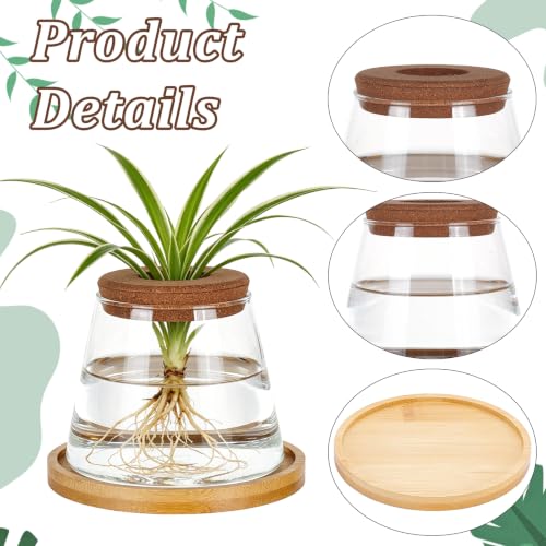 6PCS Plants Propagation Stations Glass Propagation Vases Jar, Planter Terrariums with Wooden Lid and Bamboo Stand Desktop, Hydroponic Vase for Plant Growing Home Office Tabletop Decor