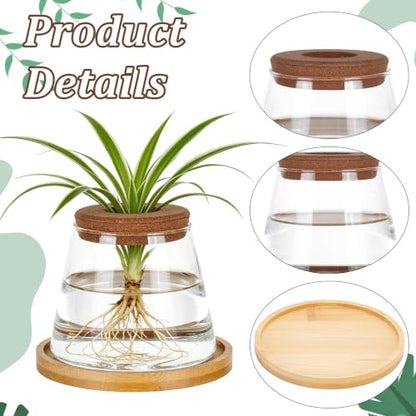 6PCS Plants Propagation Stations Glass Propagation Vases Jar, Planter Terrariums with Wooden Lid and Bamboo Stand Desktop, Hydroponic Vase for Plant Growing Home Office Tabletop Decor