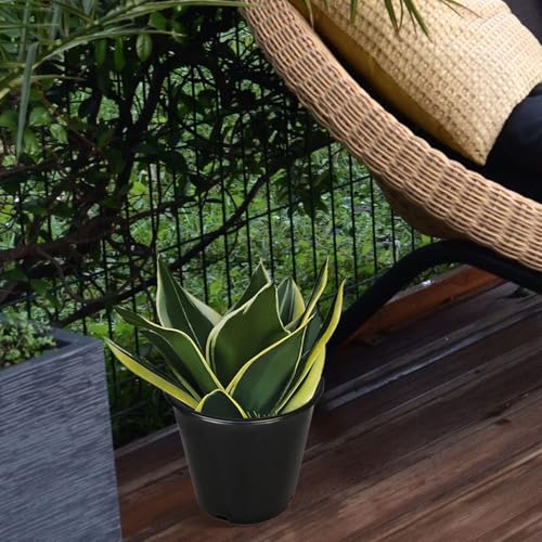 2 Gallon Plant Nursery Pot 10-Pack 2 Gallon Plastic Garden Planter Pots Flower Seedling Injection Molded Container Seed Starting Pot for Indoor Outdoor Plants Seedlings Vegetables Black - size: Standard 2 Gallon