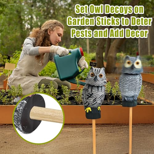 Owl Decoy to Scare Birds Away Scarecrow Fake Owl with Rotating Head (2 Pk) - color: Set C