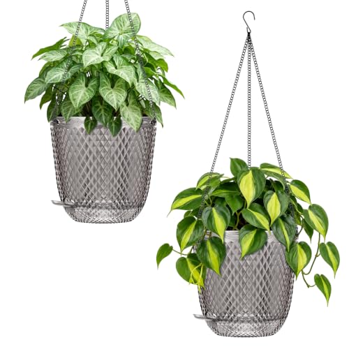 QCQHDU 5.7 Inch 2 Pack Small Hanging Planters for Indoor Outdoor Plants,Self Watering Flower Pots Hanging Basket Plant Hanger with Drainage Holes and 3 Hooks for Window Porch Garden Balcony, (Grey) - color: Gray, size: 5.7"+5.7"