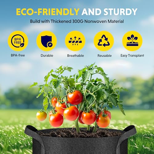iPower Plant Grow Bag 10 Gallon 6-Pack Heavy Duty Fabric Pots, 300g Thick Nonwoven Fabric Containers Aeration with Nylon Handles, for Planting Vegetables, Fruits, Flowers, Black 2024 Version - color: Black, size: 10 Gallon