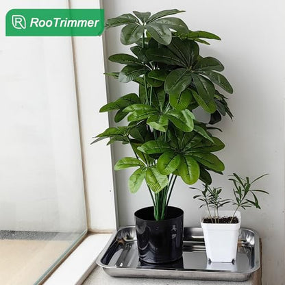 RooTrimmer Stainless Steel Plant Trays, 5 Pack Multi-Purpose Tray for Indoor Outdoor Plants, Seed Starting Tray for Potted Plants(11.6 inch×15.2 inch, 1.45" Height, 5-Pack) - size: Middle-5P
