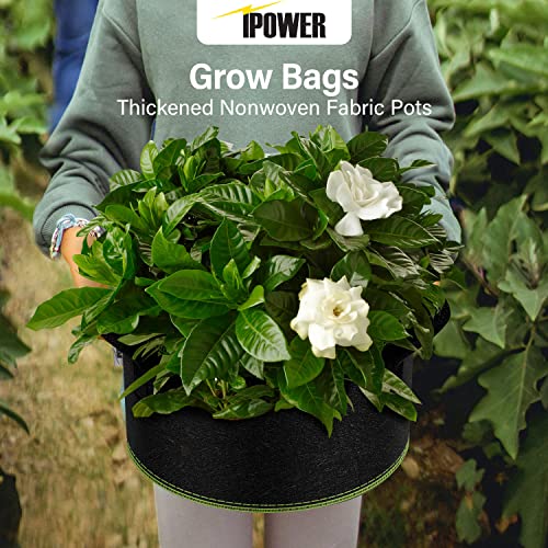 iPower 15-Gallon 10-Pack Grow Bag Thickened Nonwoven Fabric Pots Heavy Duty Aeration Container with Strap Handles for Garden and Planting Vegetable Flowers, Black with Green Stitch Sewing - color: Green, size: 15 Gallon