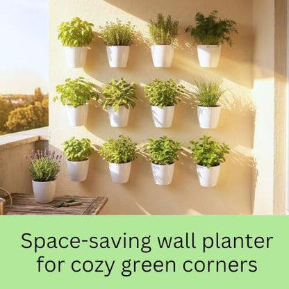 LaLaGreen Wall Planter for Indoor Plants (5in, 10 Pack) White Self-Watering - size: 5" (12.5 cm)