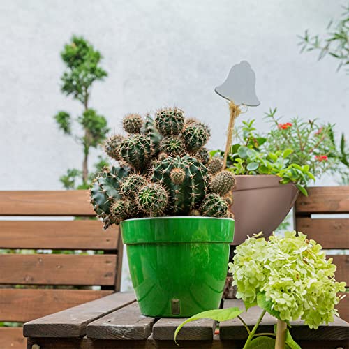 Santino AST 10.6 Inch Self Watering Planter Green-Gold/White for Indoor Plants - Premium Quality Plastic Pot with Water Level Indicator for All House Herbs, Plants, African Violets and Dahlias - color: Green-gold/White, size: 10.6-Inch