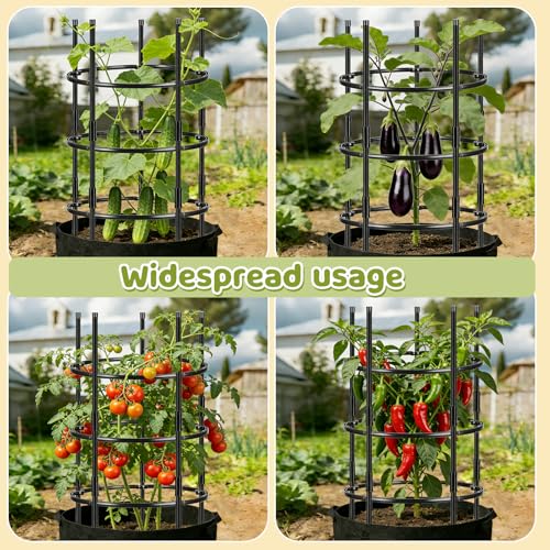 19.5" D x 39" H Peony Plant Support Cage,3-Tier Stackable