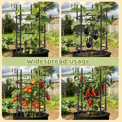 19.5" D x 39" H Peony Plant Support Cage,3-Tier Stackable
