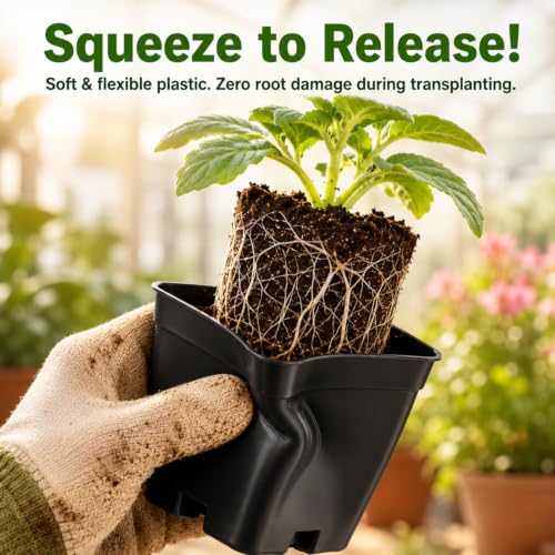 Remerry 250 Pcs Square Nursery Pots 2.63 x 3.5 Inches (D x H) Plastic Seedling Pots with Drainage Holes, Seeds Starter Germination for Plants, Black