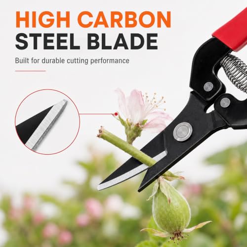 ARS HP-300L Needle Nose Fruit Pruners