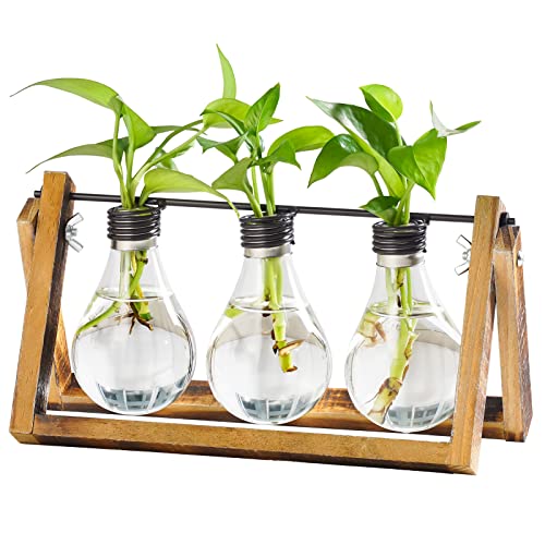 Marbrasse Plant Propagation Stations with Wooden Stand, Desktop Plant Terrarium Holder Bulb Vase, Glass Vase Container with Metal Swivel Holder for Hydroponics of Home Garden Office Decor Lover Gifts - color: Jklw137-13