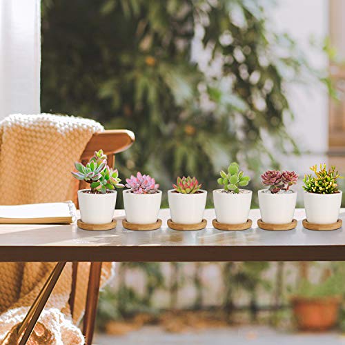 T4U 2.5 Inch Small White Succulent Planter Pots with Bamboo Tray Round Set of 4, Ceramic Succulent Air Plant Flower Pots Cactus Faux Plants Containers, White Modern Decor for Home and Office