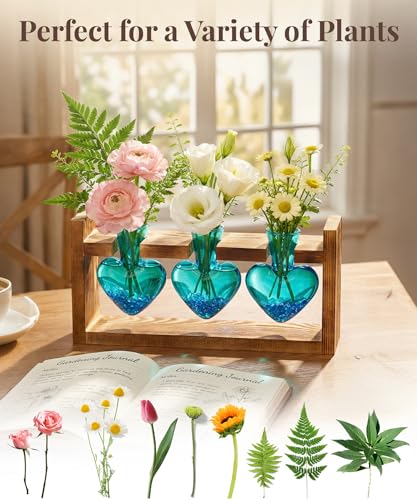Nacome Plant Terrarium with Wooden Stand, 3 Heart Bulb Glass Vases - color: Blue
