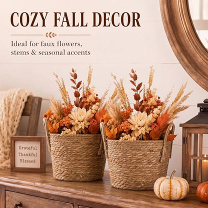 Novabright 2 Pcs Fall Woven Basket Planter, Wicker Planter, 12'', Natural - size: 12''
