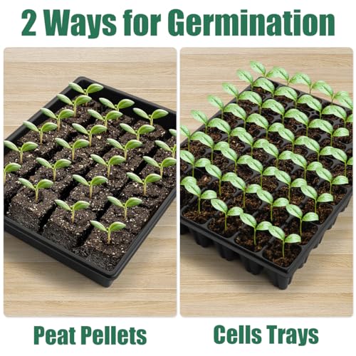 RooTrimmer 5-Pack No-Drip Seed Starting Trays with 4" Humidity Dome - size: 5p Trays+Domes+48 Cells