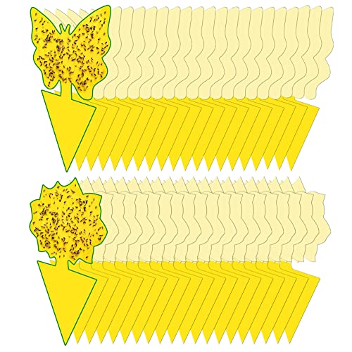 40 Pack Yellow Sticky Traps, Fungus Gnat Traps for House Indoor Plants - size: 02-40Packs