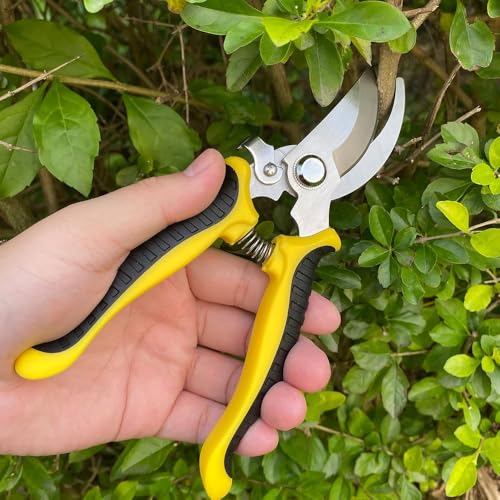 Pruning Shears for Gardening Stainless Steel Garden Hand Shears Heavy Duty Professional Bypass Pruner Hand Shears Yellow - color: Yellow