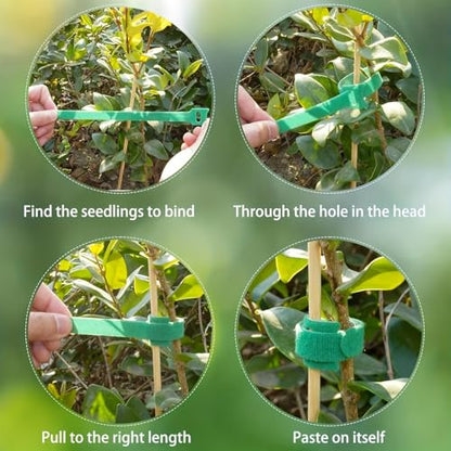 100PCS 6 Inch Reusable Plant Tape,Adjustable Plant Ties with Hook and Loop Design,Soft Garden Ties for Climbing Plants Vines and Outdoor Plants(Green)