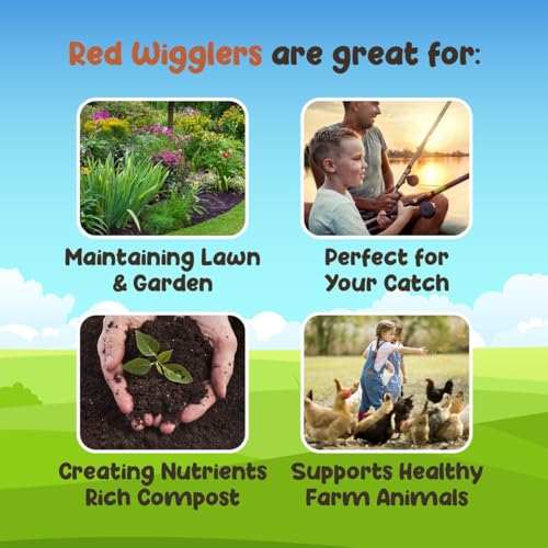Red Wigglers Composting Worms, 1/4lb Red Worms for Composting for Gardens - size: 1/4lb