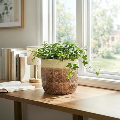 Ceramic Pots for Plants, 8 Inch Plant Pot, Round Planters, Brown - color: Brown, size: 8 Inch