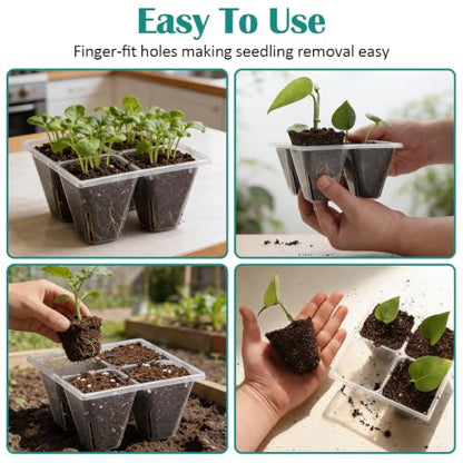 RooTrimmer 5 Pack Heavy Duty 1020 Trays and 40 Pack Clear 4 Cell Seed Starter Trays with Large Drainage Holes, Easy Transplant - for Seed Germination & Plant Propagation (5 Sets)