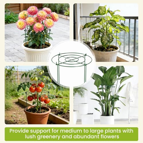 6 Pack Peony Cages and Supports, 12" x 24" Tall Peonies Support Cage