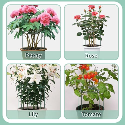 4 Sets Peony Support Cage,12"Diax24"High Heavy Duty Metal Plant Support,Grow Through Hoops Grids with 4 Thickened 4mm Legs,Strong Support Brace for Heavy Blossoms,Flower Support Ring for Peonies,Rose - size: 12"X24"-4PCS