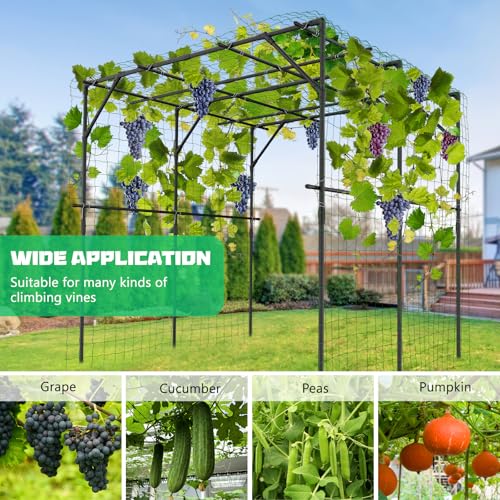 DoCred 79" H x 79" L Garden Arch Trellis, Metal Trellis for Climbing Plants - size: 79" L x 79" W x 79" H