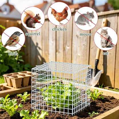 4Set 12"x12" Plant Protectors from Animals, All-Metal Plant Cage with Cover