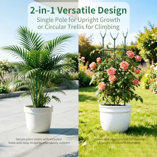 10 Pack Indoor Plant Supports, Stackable Monstera Stakes with Plant Clips