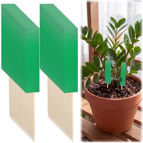36 Pcs Green Sticky Traps for Plant Gnats, Fungus Gnat Trap (4" x 1") - color: Green