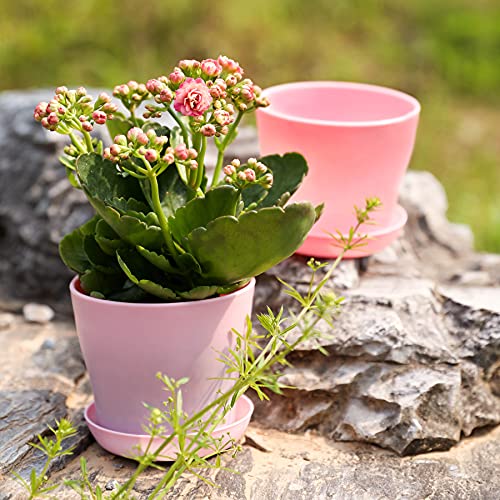 TDHDIKE 10 Pcs Plastic Planters Indoor Flower Plant Pots (Pink) - color: Pink