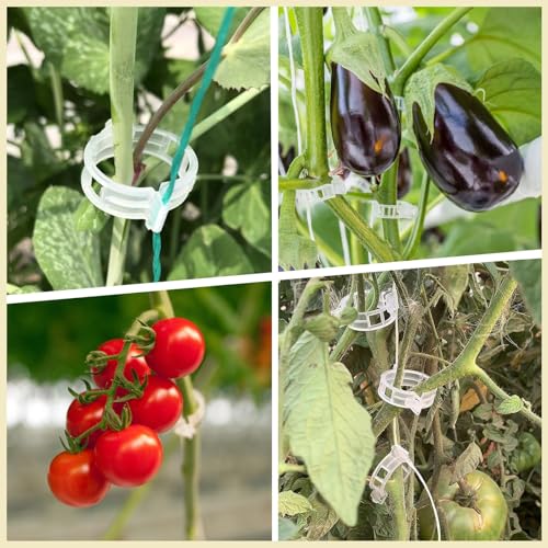 Dalzom® 300Pcs Tomato Clips, Plastic Trellis Clips Plant Support Clips, Plant Clips for Support, Grape Vine, Tomato Vine, Vegetables Plants, Garden Clips to Grow Upright Makes Plants Healthier - color: Translucent
